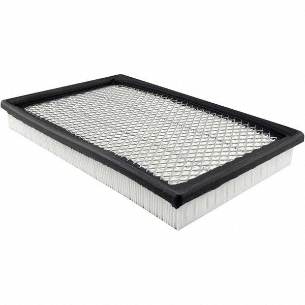 BALDWIN FILTERS Baldwin Filters PA2230 Automotive Air Filter