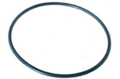 Pentair 16920-0012 O-Ring Pkg 161