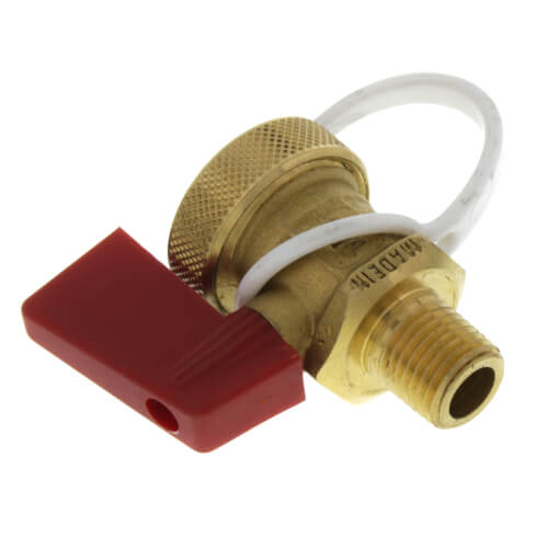 Caleffi 538202 FD Drain Valve 1/4-Inch Garden Hose with Cap