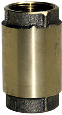 ASHLAND Ashland Water Group CV-100NL Brass Check Valve 1 in