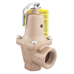 Watts Regulator 740M-30-114FS Relief Valve Water Pressure with Flood Sensor 1-1/4 Inch Female Iron 30PSI 250 Degrees Fahrenheit