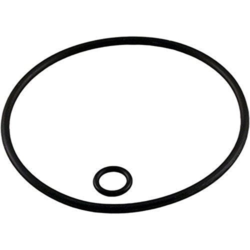 ZODIAC Zodiac G58 O-ring Kit Polaris Backup Valve