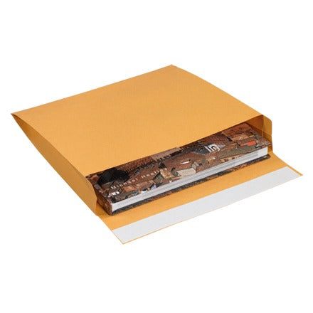 BSC PREFERRED Bsc Preferred EN1066 Self-seal Envelopes Case of 100