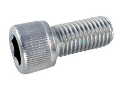 Pentair 370198 Adjustment Screw Stainless Steel