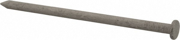 VALUE COLLECTION Value Collection 20HGC5 20D Common Nail 4 Inch Galvanized
