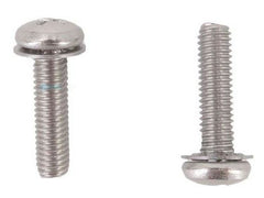 Pentair 370258Z Axle Screw with Lock Washer | 370258Z