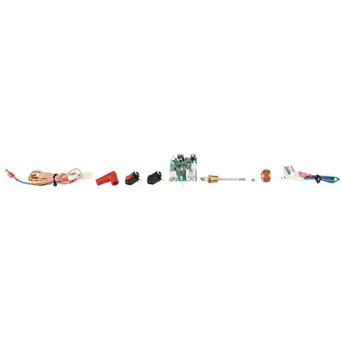 LOCHINVAR Lochinvar 100157646 Low Water Cut Off M/R Kit (Each)