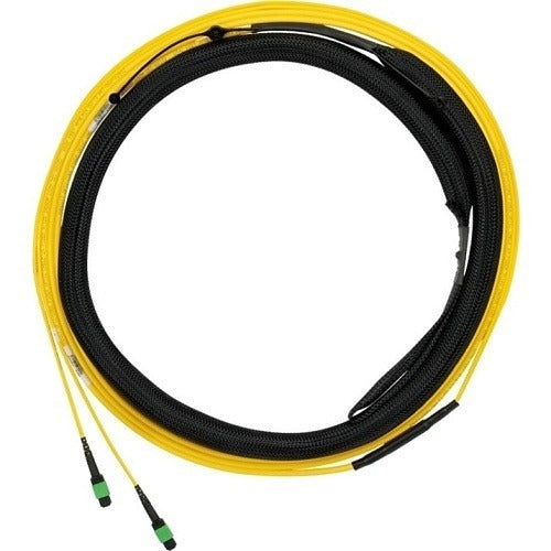 PANDUIT Panduit F9TYP5EL2SAF020 OS2 12-fiber Trunk Cable