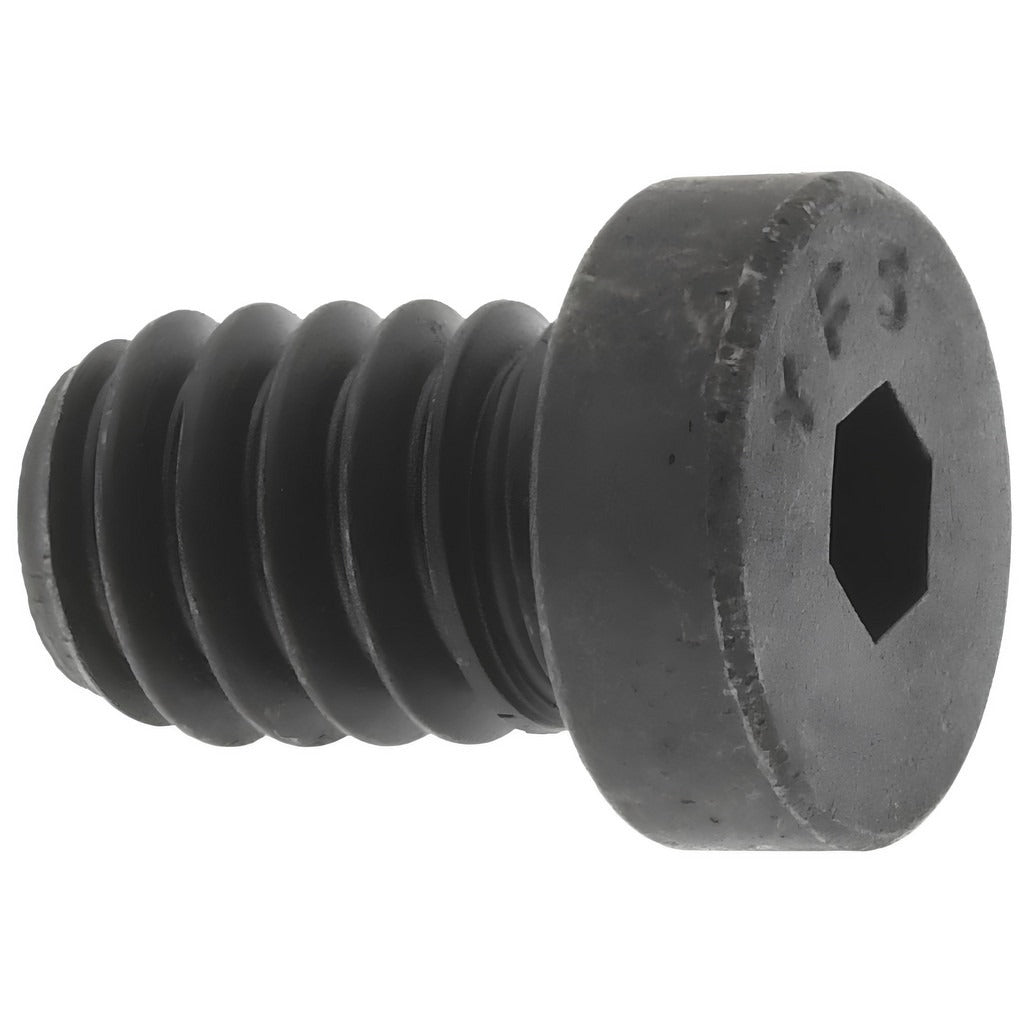 VALUE COLLECTION Value Collection 019143P Low Head Socket Cap Screw 1/4-20