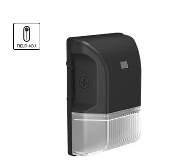 RAB LIGHTING Rab BRISK17FA20 20W Led Wall Pack Selectable Cct Photocell