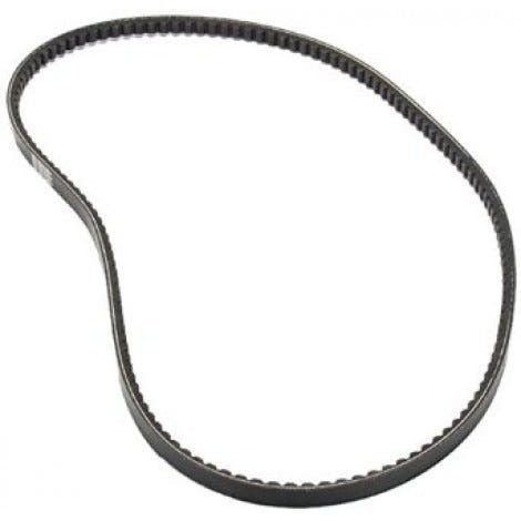 YORK York S1-BX81 Drive Belt BX81 Multi Cogged (Each)