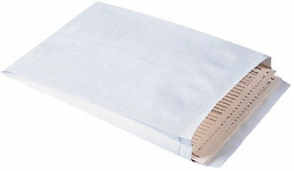 DUPONT Dupont QUAR4520 Tyvek Expansion Envelope 12x16 100pk