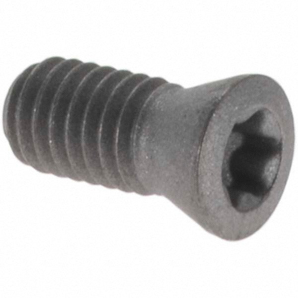 WALTER Walter 5006676 Indexable Cap Screw T8 Torx M3