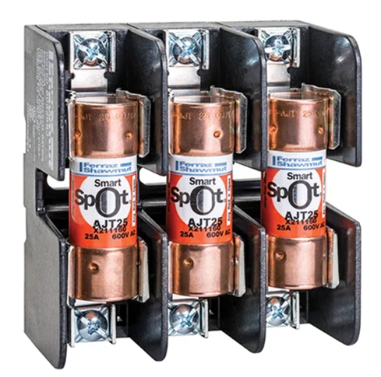 MERSEN Mersen AJT25ID AJT Class J Time-Delay Fuse 25A (10 Pack)