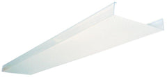 Lithonia Lighting DSB48 48 Inch 2-Lamp Diffuser Lens