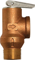 Rheem AP12993C Tankless Water Heater Pressure Relief Valve