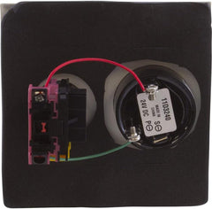 Pentair ESO2 Double Gang Plate Shut-Off Switch with Alarm for ComPool Pool and Spa Control System