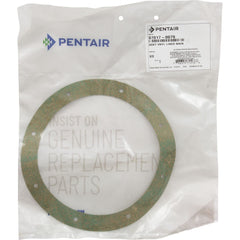 Pentair 07017-0079 Gasket Replacement StaRite Vinyl/StarGuard Main Drain