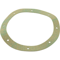 Pentair 07017-0079 Gasket Replacement StaRite Vinyl/StarGuard Main Drain