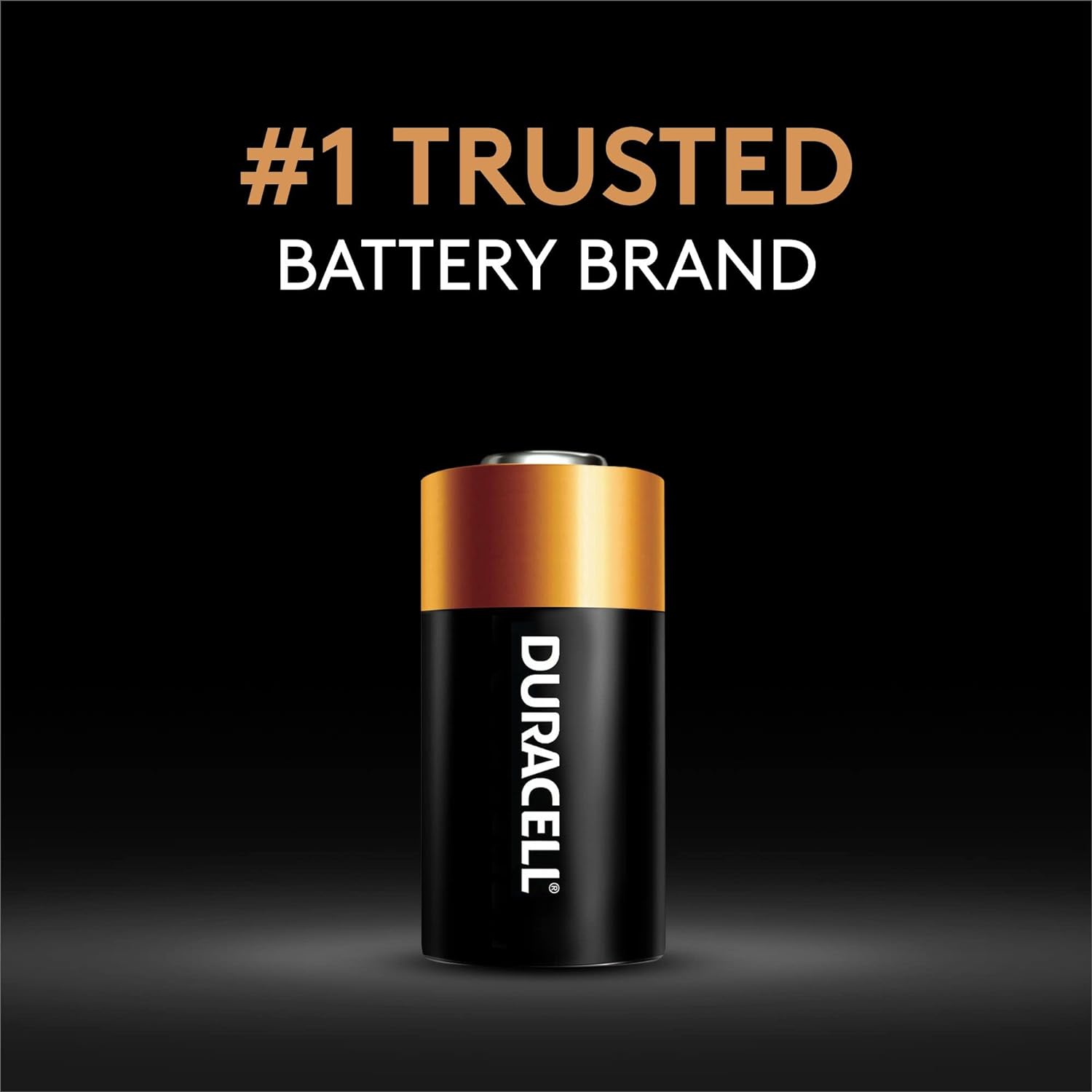 Duracell PX28LBPK Photo Battery, 6V, Pack of 6