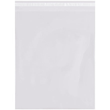 BSC PREFERRED Bsc Preferred PRR101304 Self-seal Poly Bags 500/case