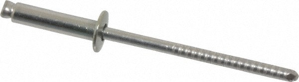 RIVETKING Rivetking. FBF46/P100 Open End Blind Rivet Ss 100-pack