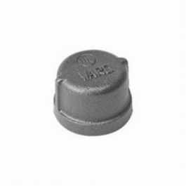 Ward 1B.BMCAP Pipe Cap, 1-1/4 Inch, FNPT, 150 lb