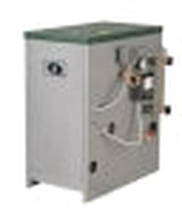 PEERLESS 6305025 WATER HEATERS