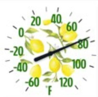 TAYLOR PRECISION PRODUCTS Taylor Precision Products 5323343 Lemon Thermometer