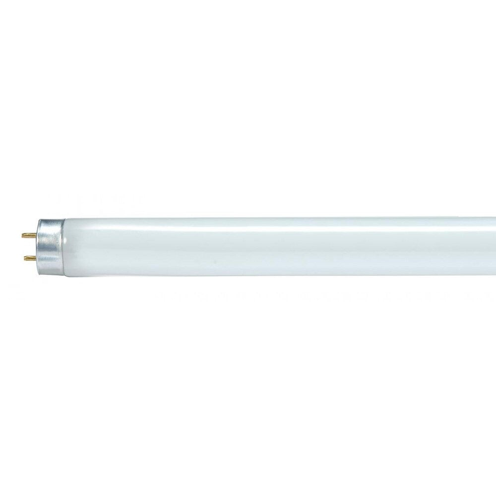 SATCO-NUVO Satco S8419 T8 Fluorescent Lamp 32 Watt (48 in)