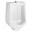 American Standard 6561017.02 Trimbrook Urinal 1.0 gpf Fixture