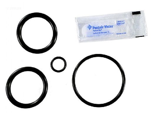 Pentair 273109 Noncorrosive Slide O-Ring Kit