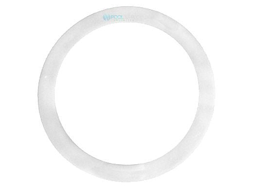 Pentair 195004 Washer | Polyethylene | 195004