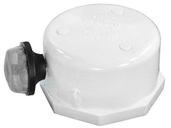 Pentair 274411 Cap and Strainer Assembly Mytilus Pool and Spa Cartridge Filter