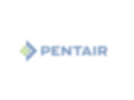 Pentair 181010 Pentair FNS Clamp Spring Kit | 181010