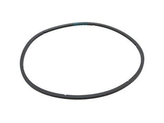 Pentair 350166 EQ Series Pump Lid Gasket