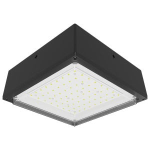 RAB LIGHTING Rab VANLED40 Vandal-Proof 40W (Canopy)