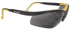 DEWALT Dewalt DPG55-2D Safety Glasses Smoke Lens Wraparound