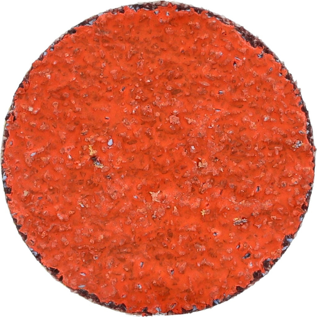 NORTON Norton 66261162308 Quick-change Disc 36 Grit 1.5 in