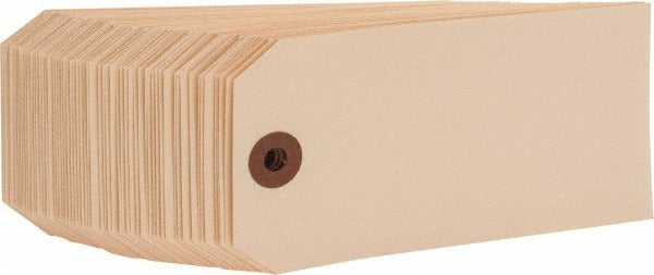 ACCUFORMNMC Accuformnmc BPT2 Blank Rectangle Tag 4.75x2.375 in 1000/box