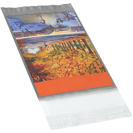 BSC PREFERRED Bsc Preferred CV57 Poly Catalog Mailer Bag 100 Per Case
