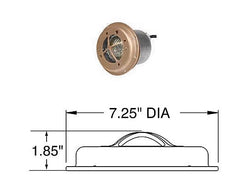 Pentair 560003 Fountain Rock Guard for Small Niches