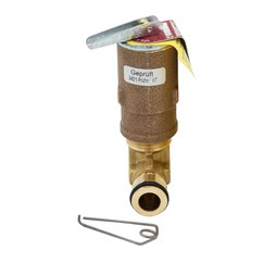 Bosch 87377034270 Safety Valve 30 Pounds per Square Inch for Boiler