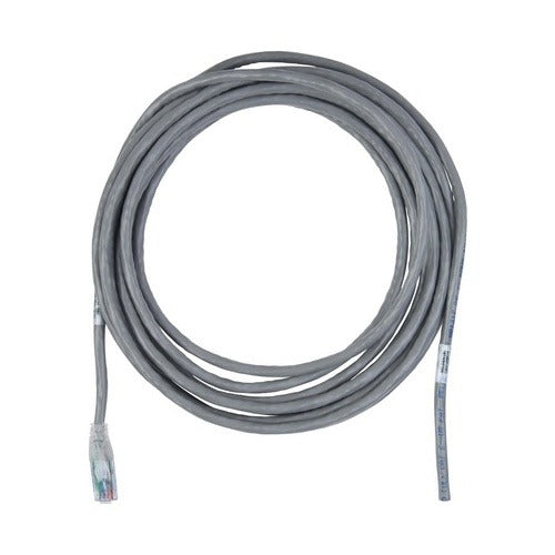 BELDEN Belden Inc. C631208030 Cat6 Plus Cmr Pigtail 30 in