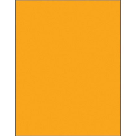 BSC PREFERRED Bsc Preferred LL420OR Removable Temporary Labels 100 Per Case
