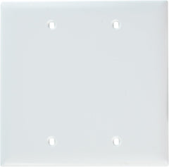 Pass & Seymour TP23W Wall Plate - Box Mounted, 2-Gang, White