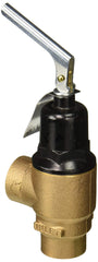 Cash Acme 23356-0050 Lead Free Relief Valve 50 PSI 1 in.