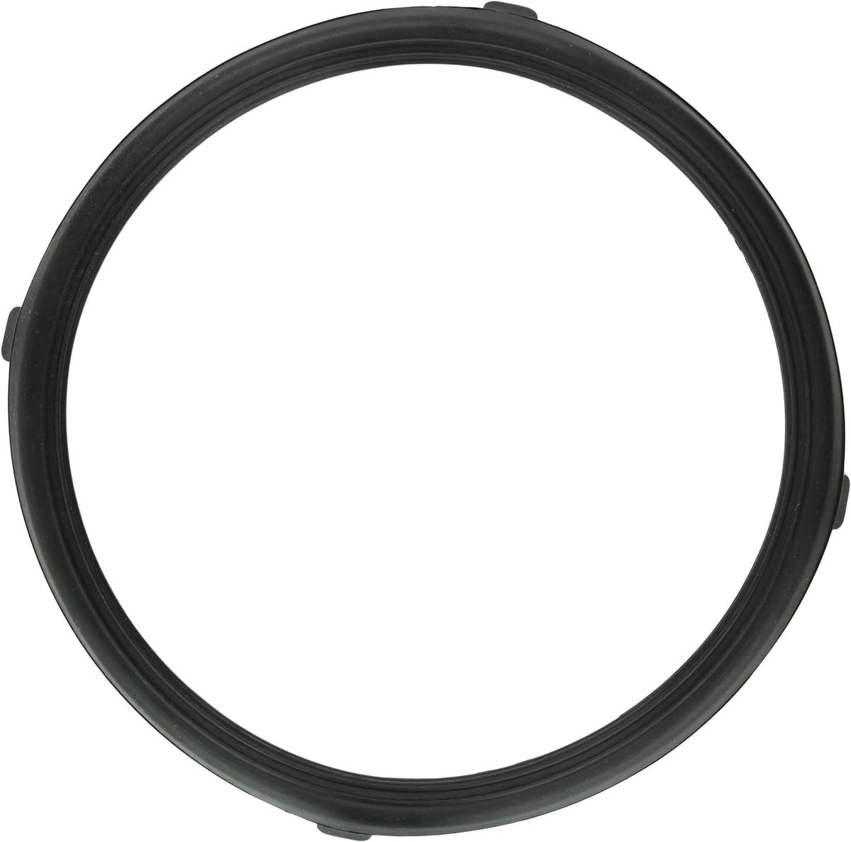 Pentair 619599Z GASKET LENS REPLCMNT