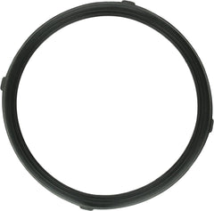 Pentair 619599Z GASKET LENS REPLCMNT