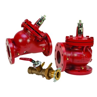 Bell & Gossett 132121 3DS-2S Cast Iron Triple-Duty Valve